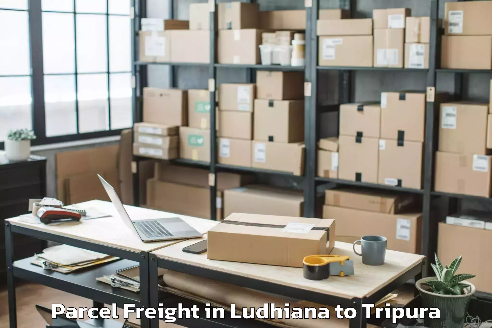 Book Ludhiana to Kailashahar Airport Ixh Parcel Freight Online